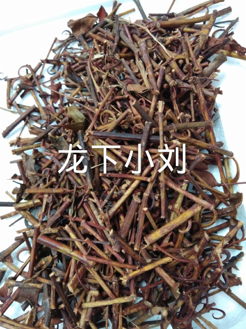 钩藤双钩藤野生侧枝条钩一起