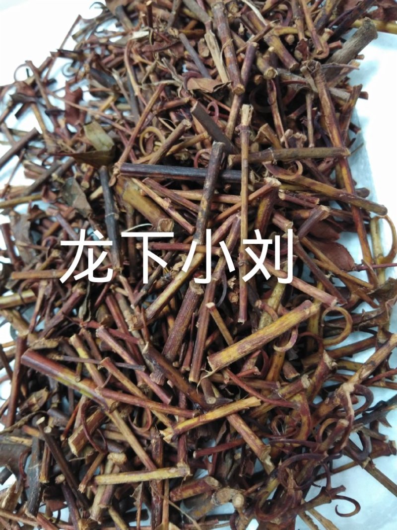钩藤双钩藤野生侧枝条钩一起
