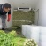 砀山县优质西芹，产地直销，供应全国，诚实第一，事实报价