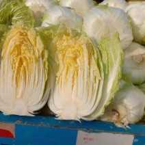 精选黄心大白菜，基地直供，代发全国来电咨询更优惠