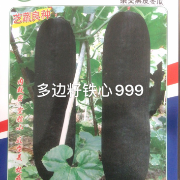 优良冬瓜种子