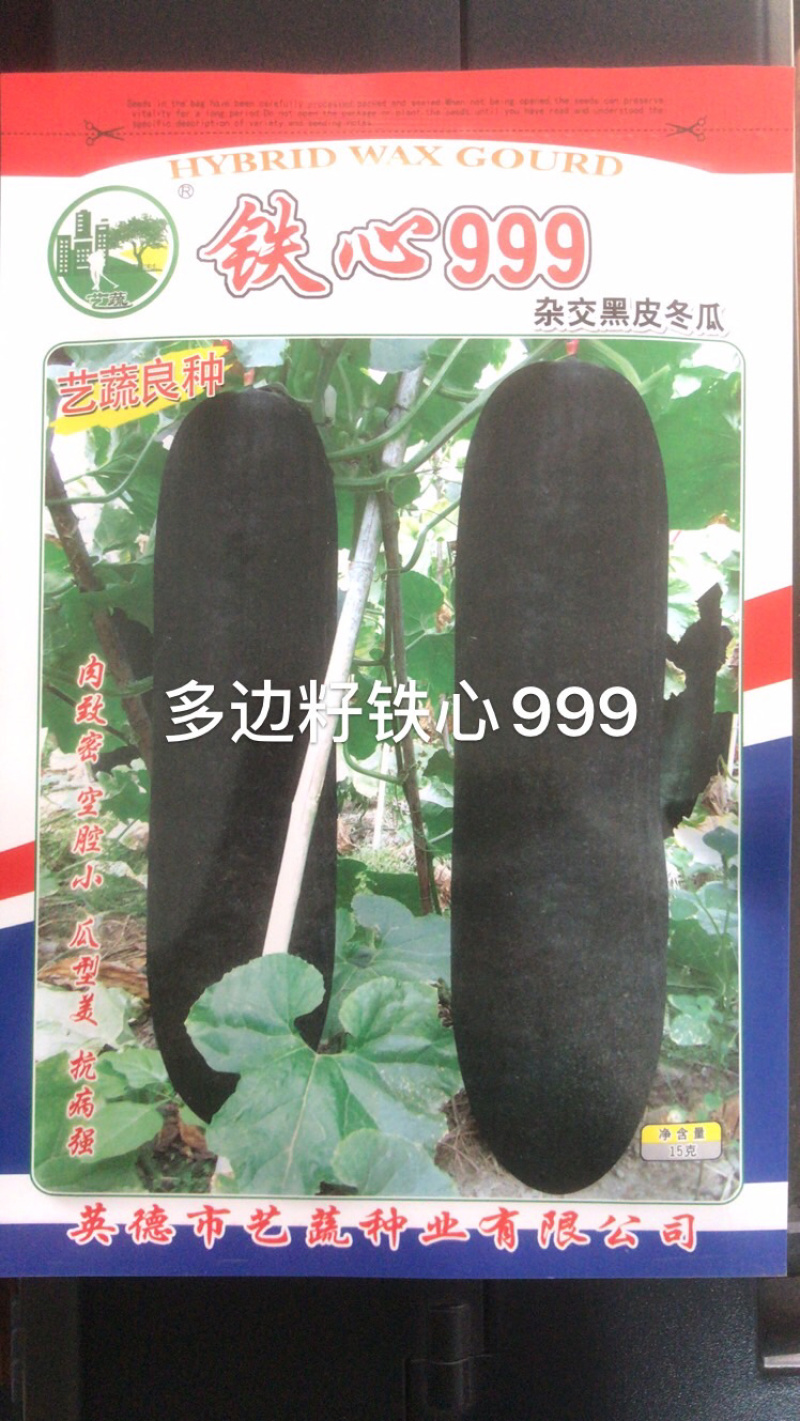 优良冬瓜种子