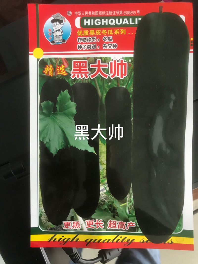 优良冬瓜种子
