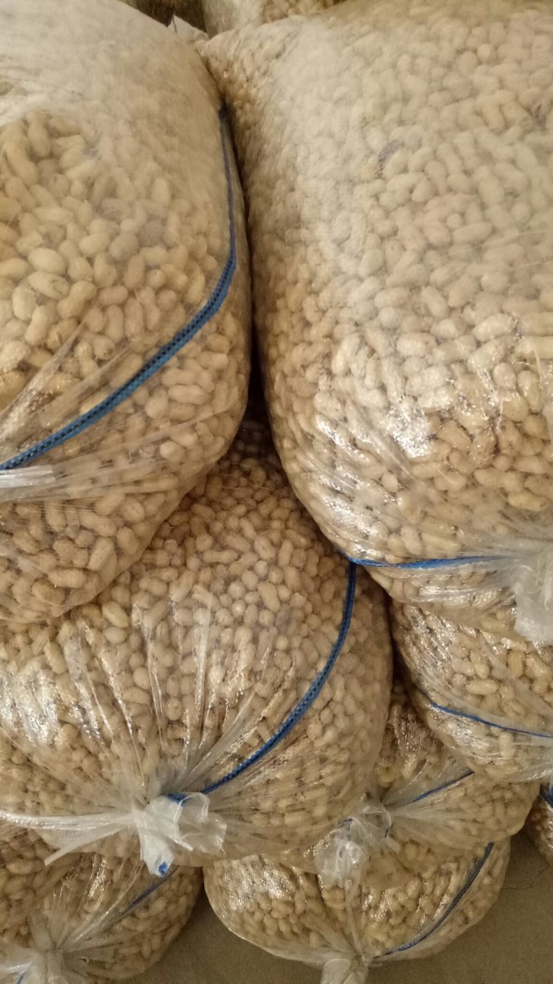 花生精选罗汉果白沙带壳干果榨油炒花生果专用出油率高