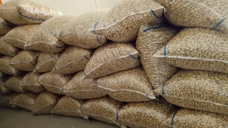 花生精选罗汉果白沙带壳干果榨油炒花生果专用出油率高