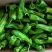 黄皮尖椒鲜辣椒广东大型产地市场诚信代办,现摘现发新鲜直达