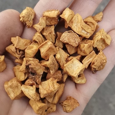 菊苣颗粒统货，选装货。大货批发
