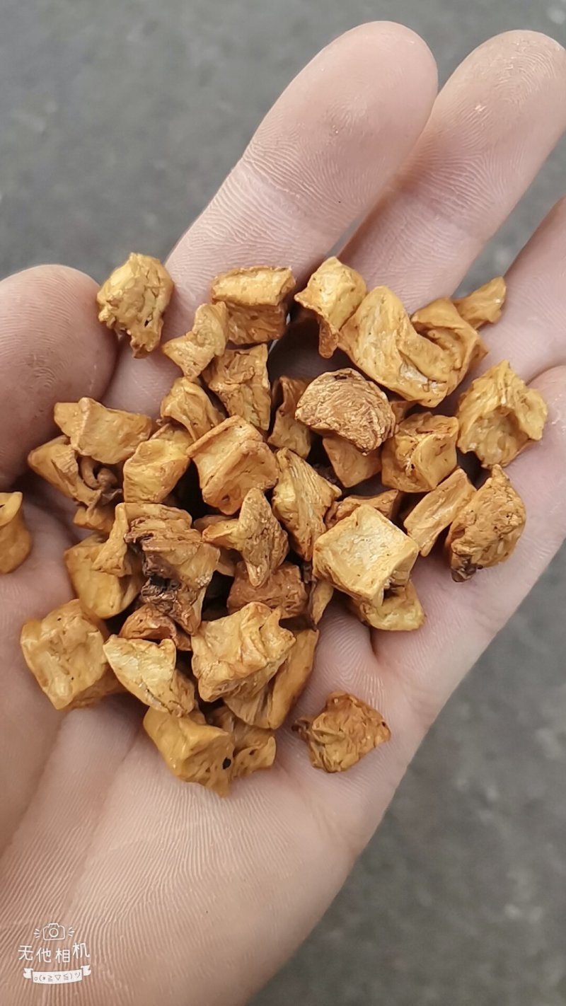 菊苣颗粒统货，选装货。大货批发