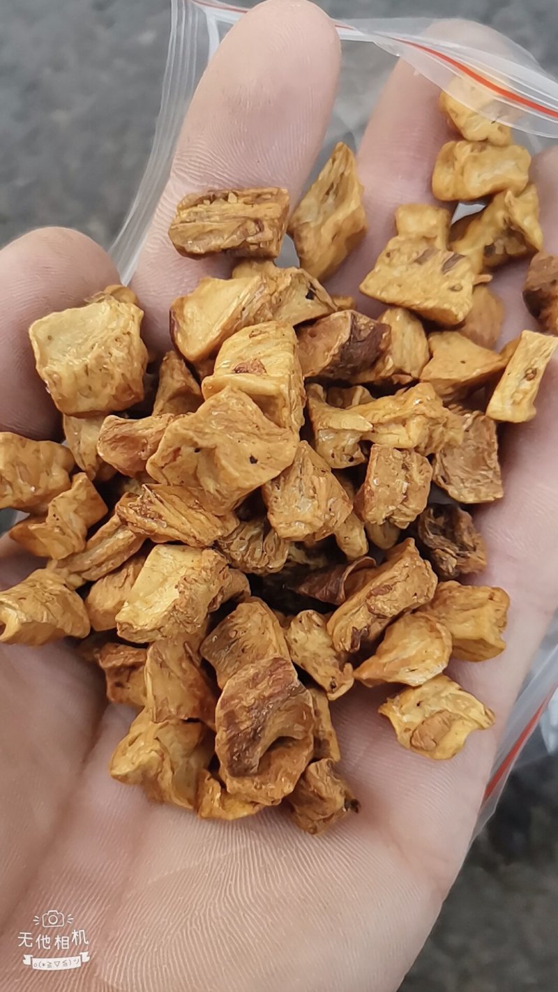 菊苣颗粒统货，选装货。大货批发