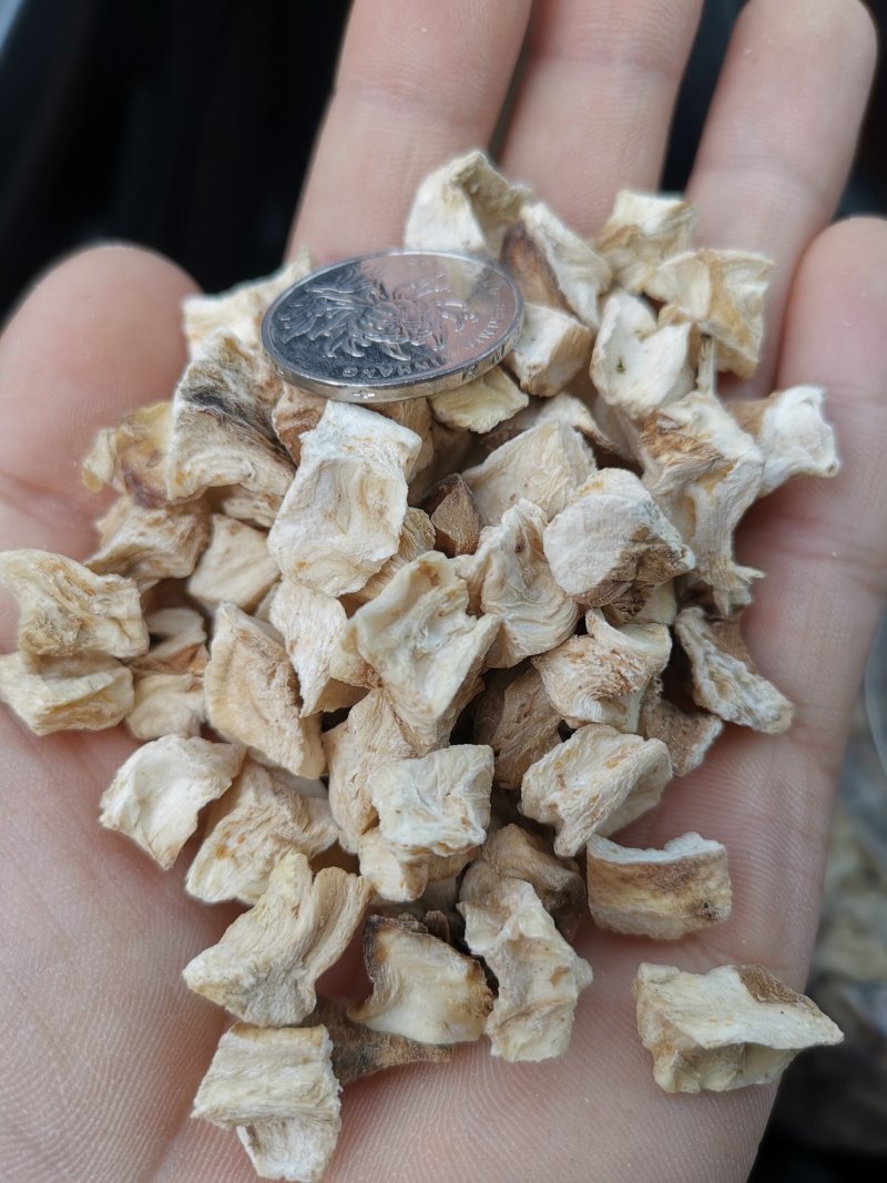 菊苣颗粒统货，选装货。大货批发