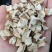 菊苣颗粒统货，选装货。大货批发
