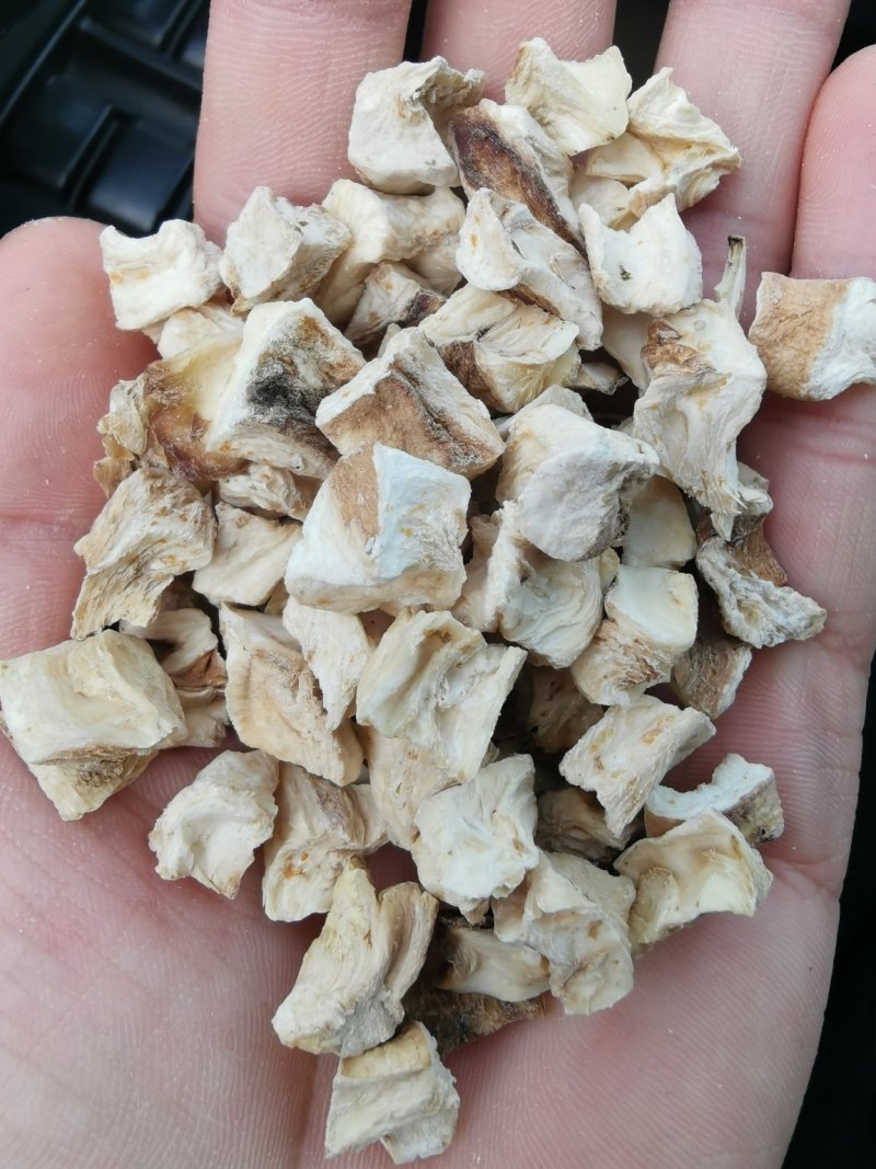 菊苣颗粒统货，选装货。大货批发