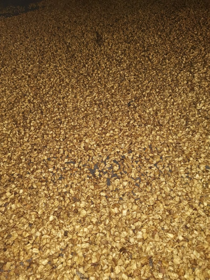 菊苣颗粒统货，选装货。大货批发