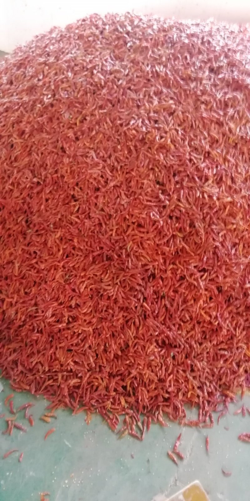 干辣椒，朝天椒，二黄二红干辣椒产地直发量大优惠欢迎下单咨询