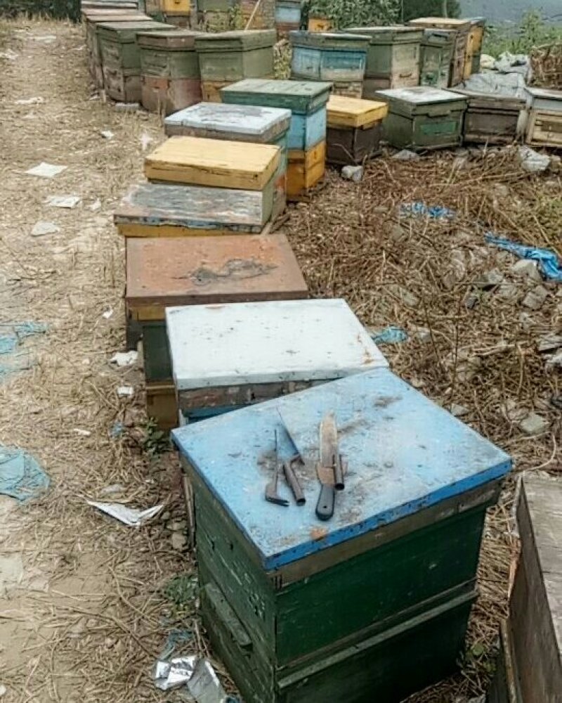 蜂蜜，保质保量