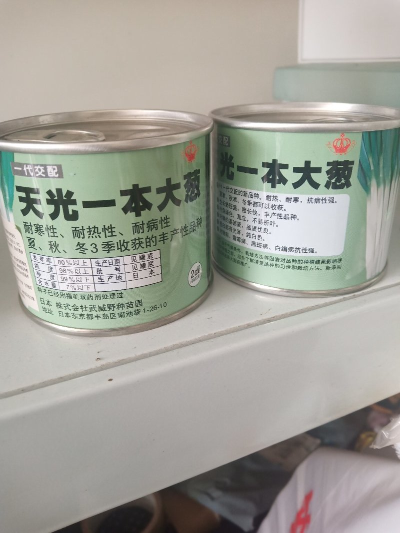 铁杆大葱种子天光一本纯二代新种子一代成桶芽率95%