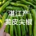 黄皮青椒辣椒供港供澳蔬菜产地,优质蔬菜产地代办