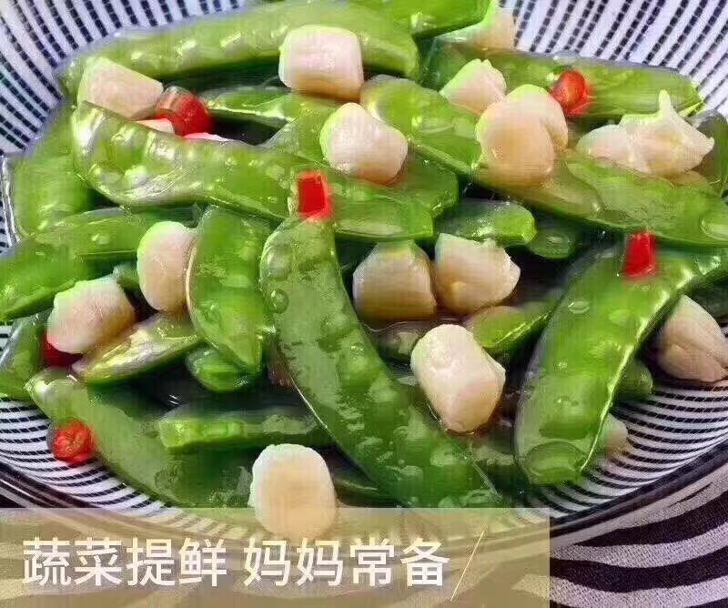新鲜超大个扇贝丁现扒发货