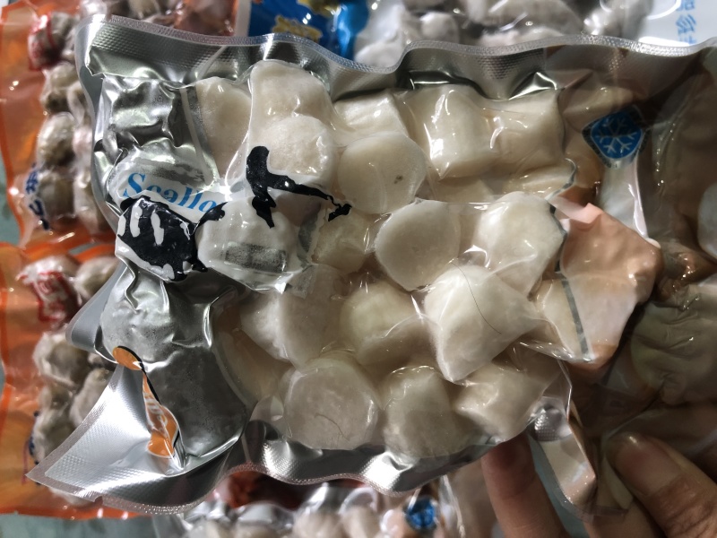 新鲜超大个扇贝丁现扒发货