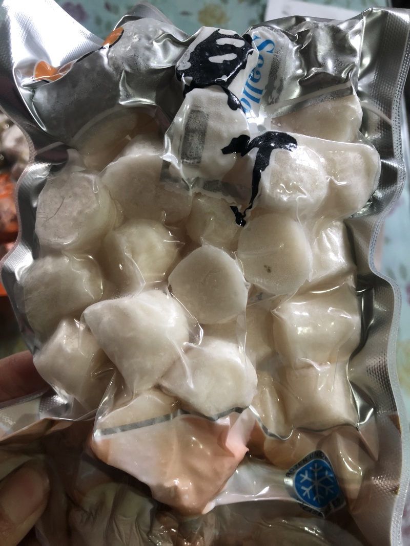 新鲜超大个扇贝丁现扒发货