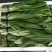 山东曹县油麦菜品质保障信誉第一