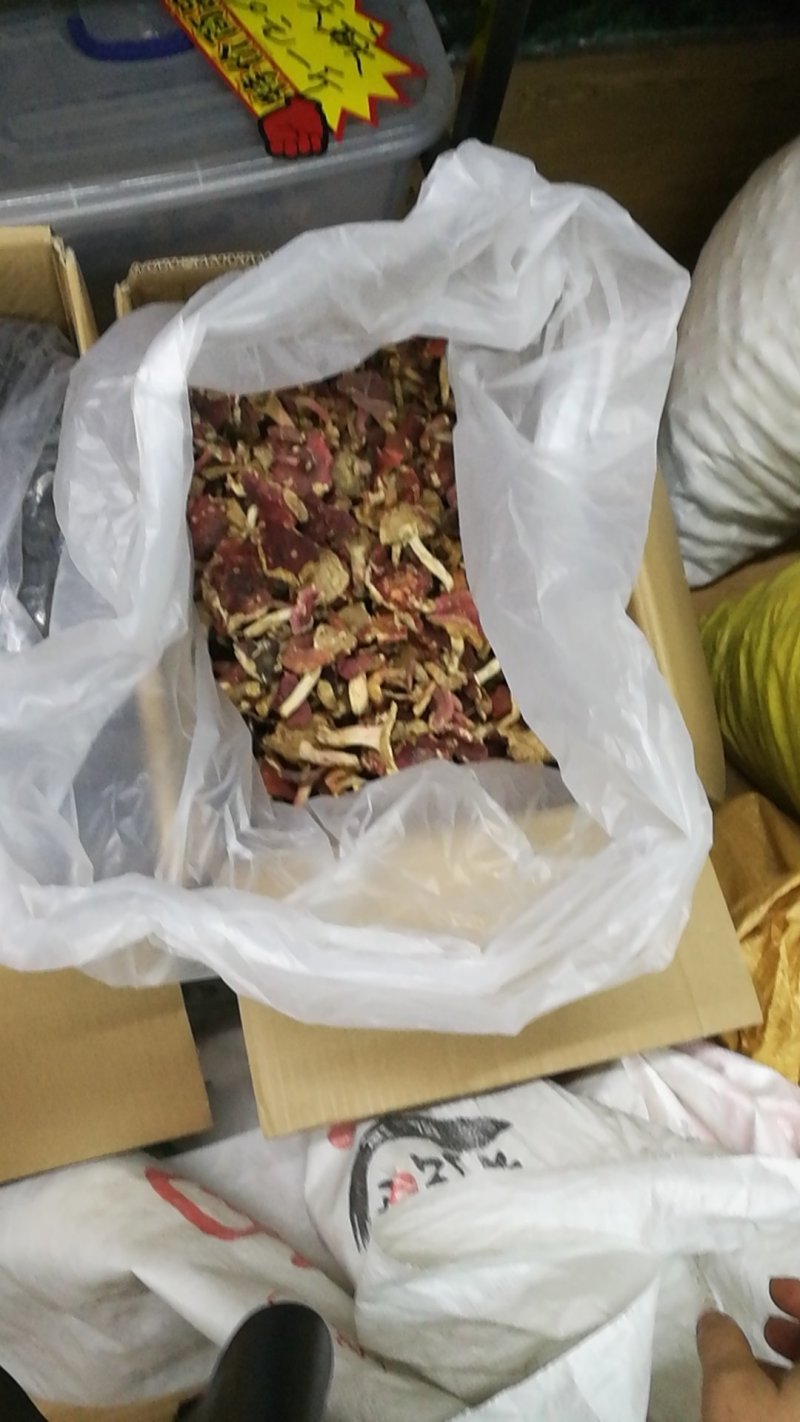 野生红菇批发，有货大量供应