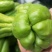 佛手瓜芽