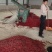 三樱干辣椒9成干以上上通货大量上市货源充足