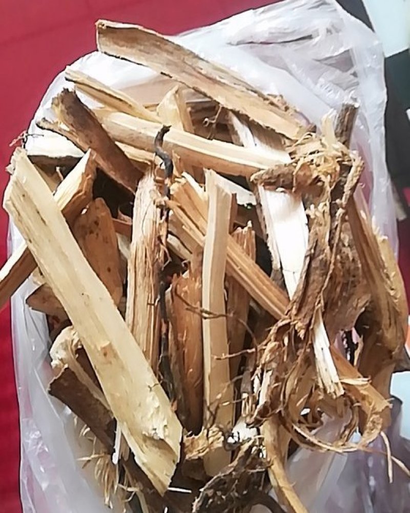 黄皮树根，量大，货品干净，
