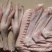 广东黑棕鹅、草鹅、朗德鹅（冰鲜鹅掌亦~两节翅）红烧、卤水