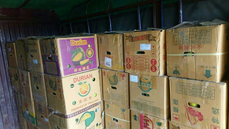 【荐】产区直供皇帝柑品质保障代办业务完善欢迎咨询
