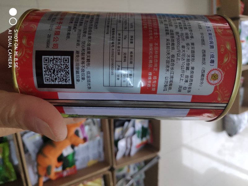 耐裂早佳8424西瓜种子早熟果实高圆形皮薄多汁