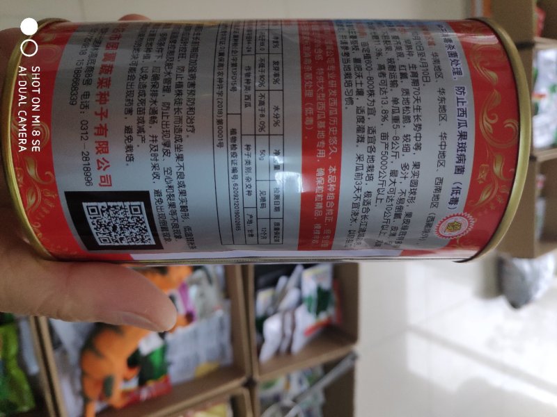 耐裂早佳8424西瓜种子早熟果实高圆形皮薄多汁