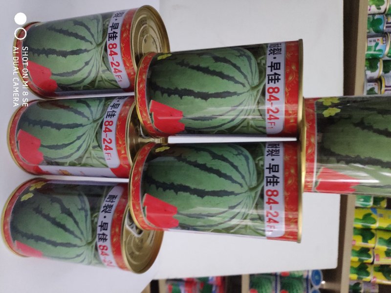 耐裂早佳8424西瓜种子早熟果实高圆形皮薄多汁