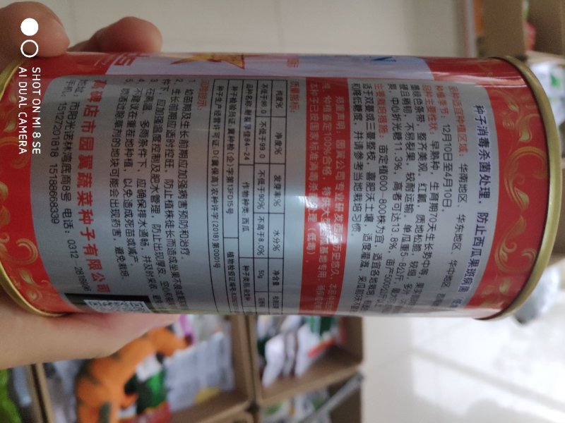 耐裂早佳8424西瓜种子早熟果实高圆形皮薄多汁