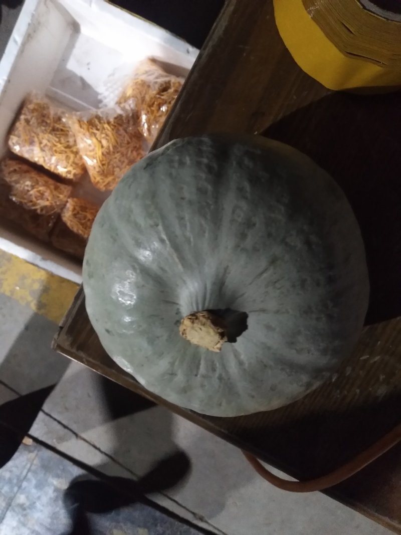 桔瓜，太阳果，太阳瓜，黄贝贝品质保证价格合理