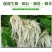 快速生根粉植物通用生根剂扦插用树木快速速效强力生根粉发根