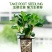 快速生根粉植物通用生根剂扦插用树木快速速效强力生根粉发根