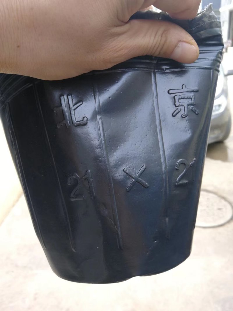 营养钵各种型号大杯单厂价直销质量保证！包邮到家！
