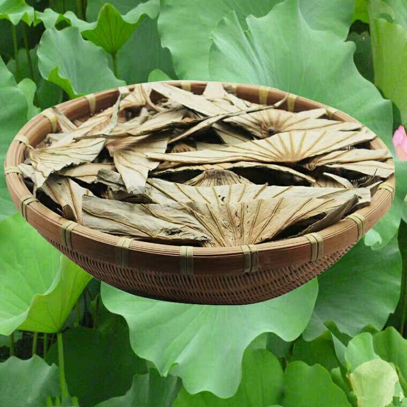 荷叶蒂千余品种供应承接订单