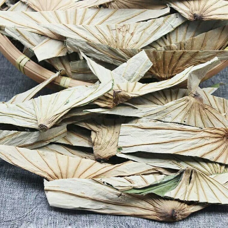 荷叶蒂千余品种供应承接订单