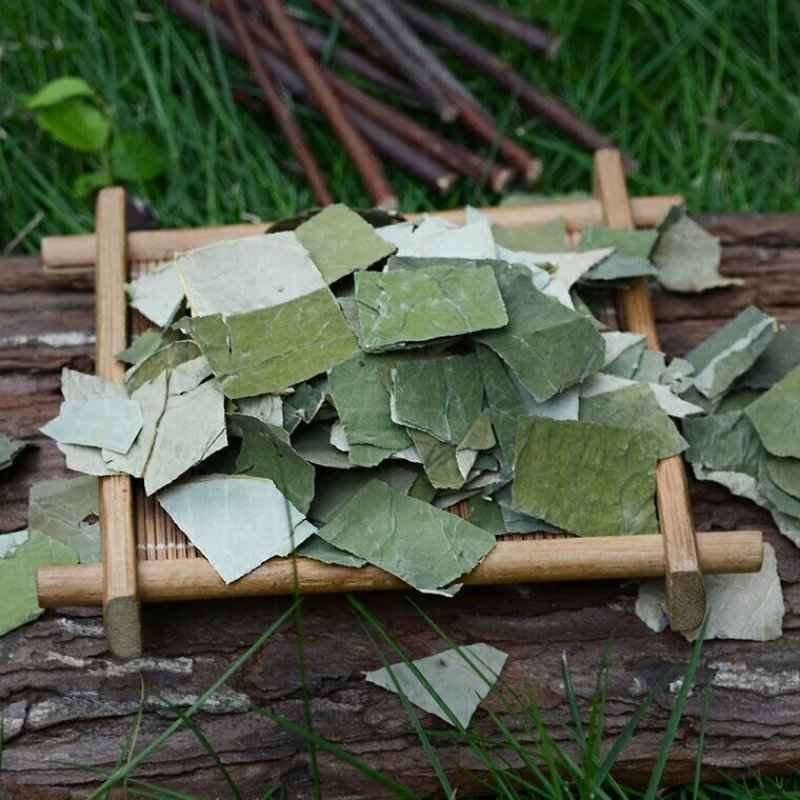 荷叶千余品种供应承接订单