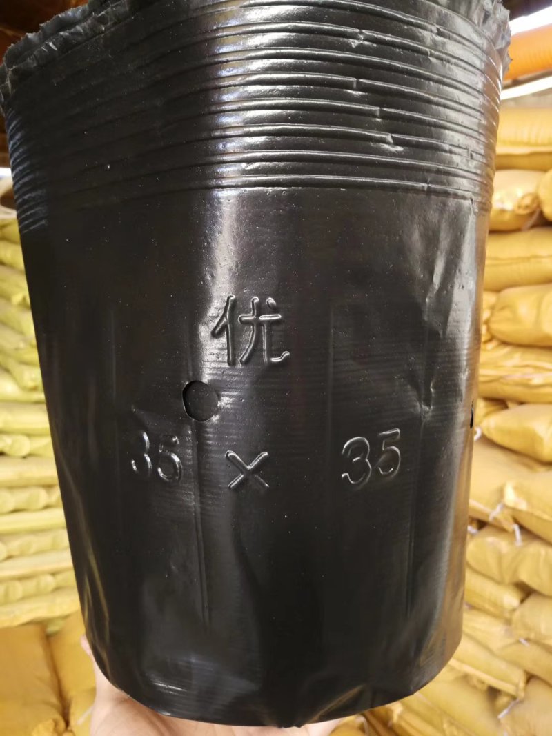 育苗杯21×21/2000个一件，9分一个。包邮到家！