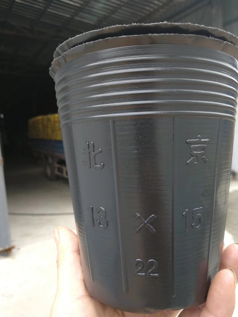 育苗杯21×21/2000个一件，9分一个。包邮到家！
