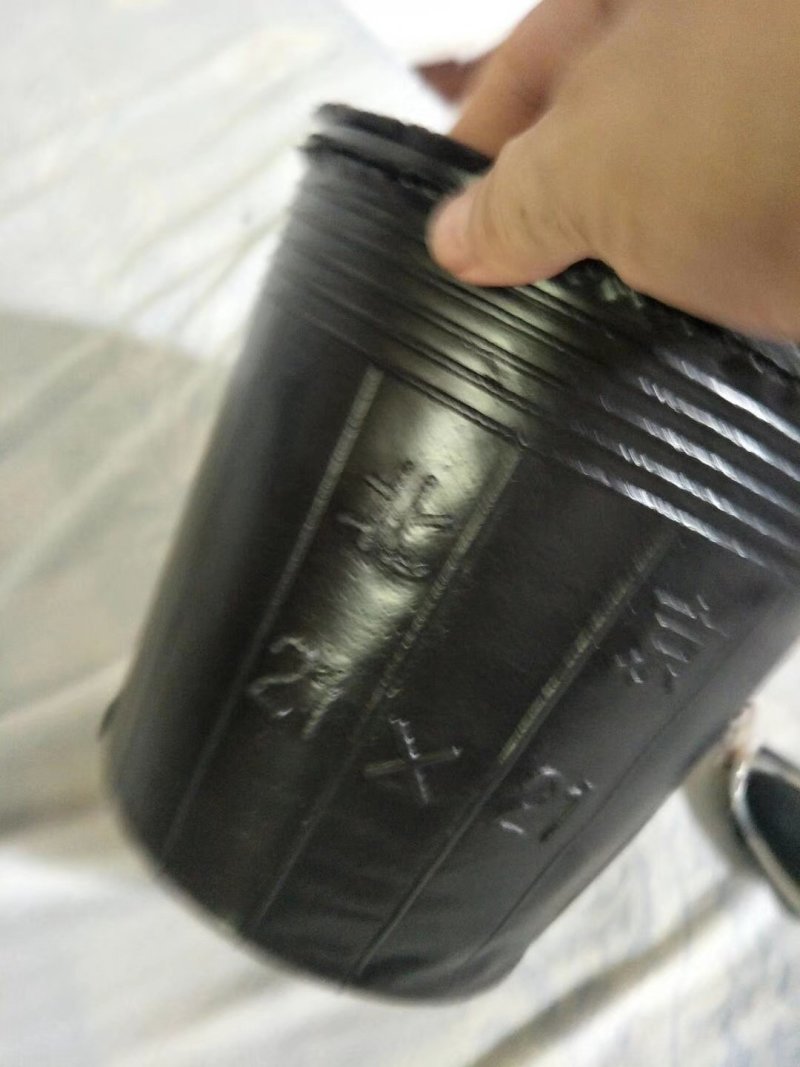 育苗杯21×21/2000个一件，9分一个。包邮到家！