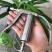 连续可调喷雾器可调连续喷雾授粉器蔬菜瓜果授粉器