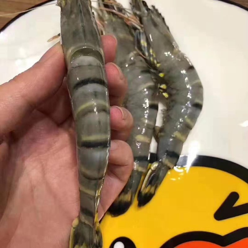 大越南黑虎虾秒杀3盒一件代发