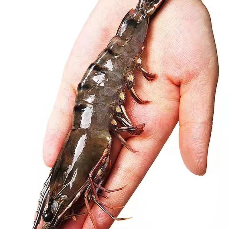 大越南黑虎虾秒杀3盒一件代发