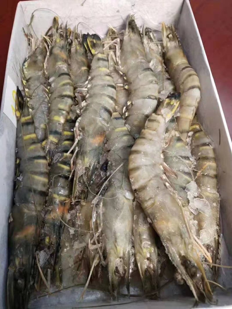 大越南黑虎虾秒杀3盒一件代发