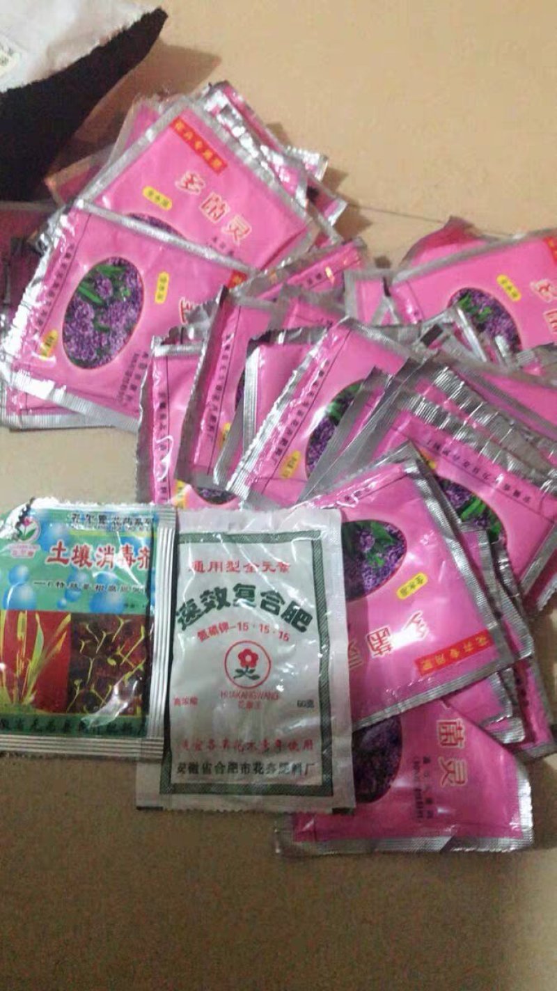 多菌灵多肉花卉药月季兰花盆栽花药叶斑病多菌菌灵通用杀菌剂